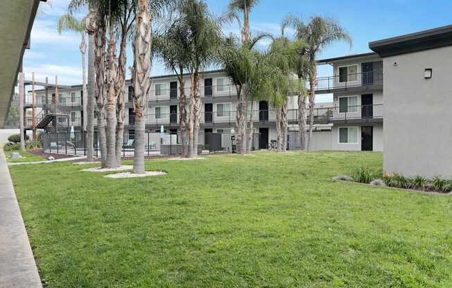 A grassy area in front of a building with palm trees.