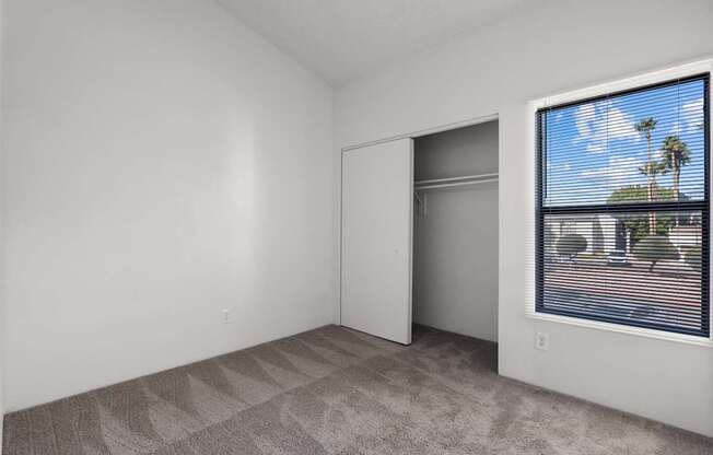 A room with a carpeted floor and a window showing a view of a street with a palm tree.