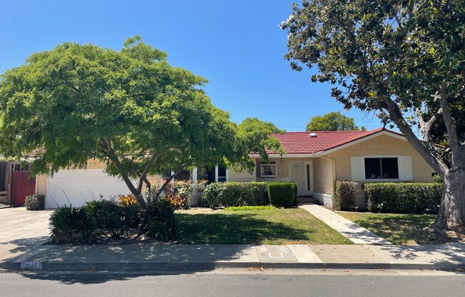 Desirable Mountain View 4 Bed 2 Bath Home on large 8570 sq. ft. lot. Close to Saint Francis High School - Available now.