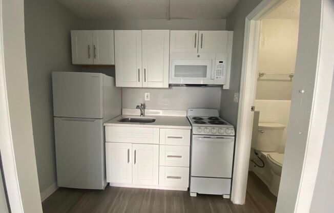 Studio, 1 bath, 500 sqft, $895, Unit 229