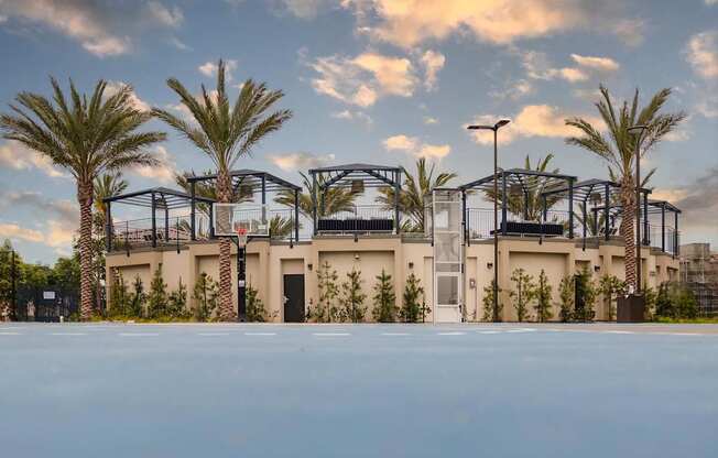 Building with Palm Trees