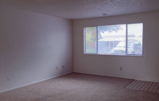 2 beds, 1 bath, 907 sqft, $1,100, Unit B103