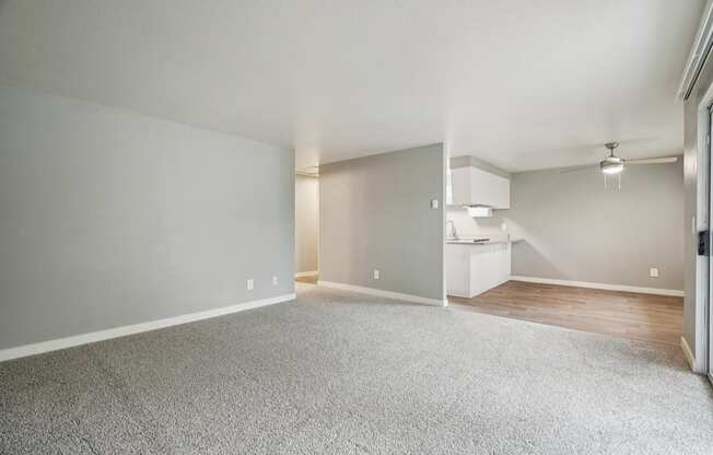 A spacious room with grey carpeting and white walls.