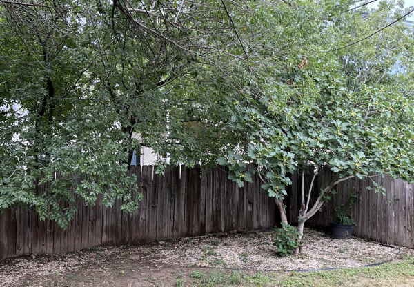 1508 VALLEYRIDGE DR