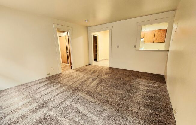 1 bed, 1 bath, 460 sqft, $1,150, Unit 316