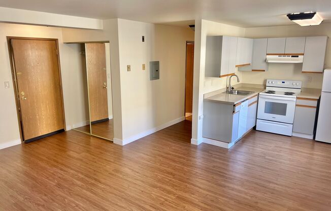 1 bed, 1 bath, 500 sqft, $1,595, Unit 317