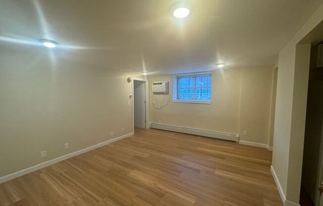 Large 1 bedroom Heat, Hot Water and WIFI Included, 2 blocks from Elm Park in WPI South Village