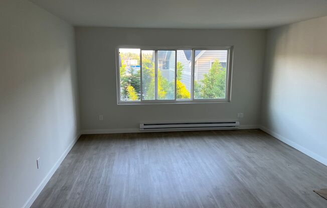 1 bed, 1 bath, $1,650