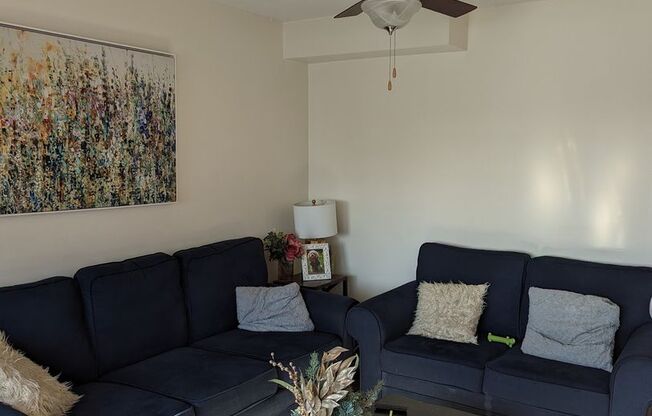 1 bed, 1 bath, 570 sqft, $3,000, Unit 1707