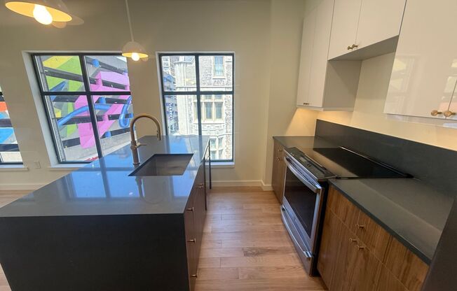 Brand new units 0-1 bedroom