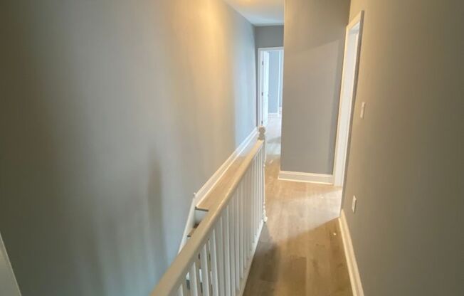 Complete gut renovation!