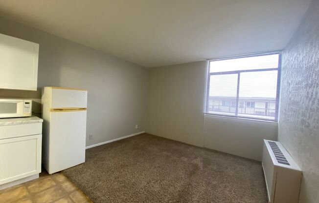 Studio, 1 bath, $599, Unit #245
