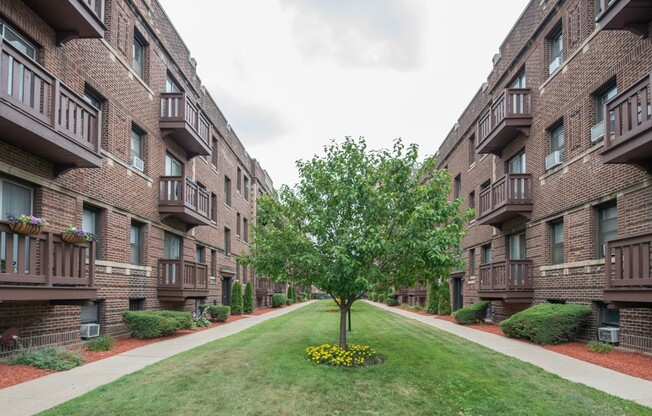 3036 Halsted