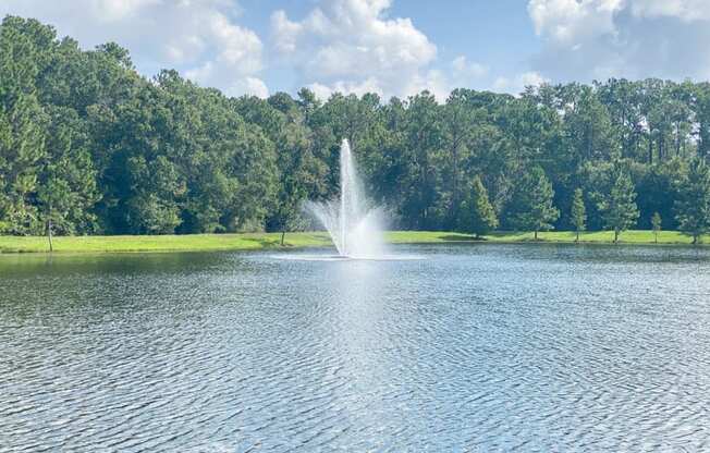 Lake with water fountain feature surrounded by native landscaping