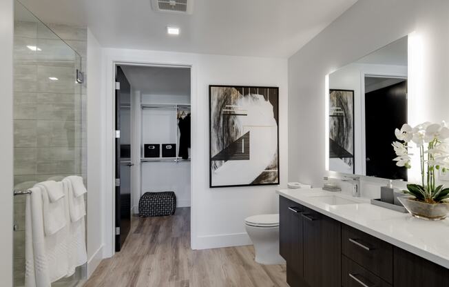 a bathroom with a toilet and a sink and a mirror