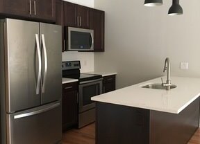 1 bed, 1 bath, 800 sqft, $1,425, Unit 204