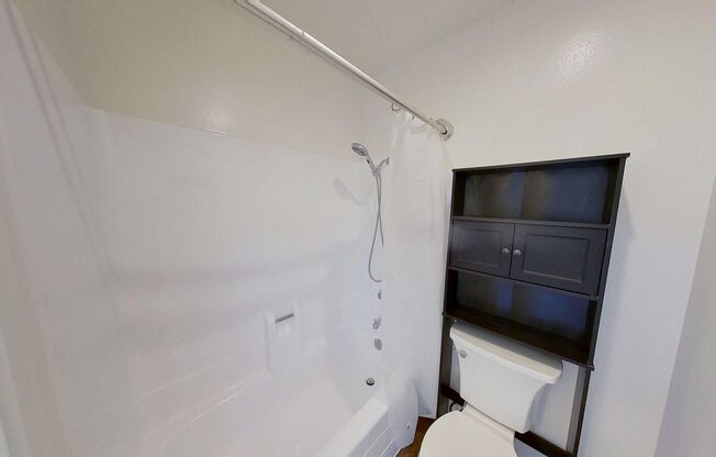 1 bed, 1 bath, $2,500