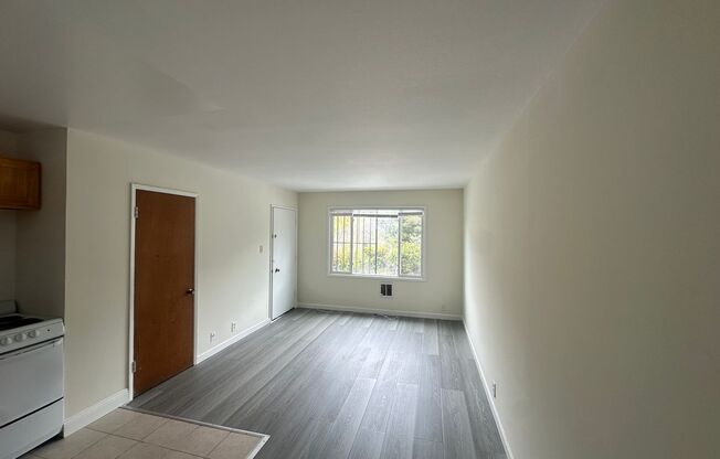029 (2199 Turk)