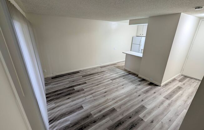 1 bed, 1 bath, 531 sqft, $1,500, Unit 161124