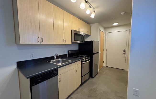 Studio, 1 bath, 248 sqft, $1,295, Unit B10