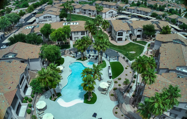 A swimming pool surrounded by palm trees and houses.