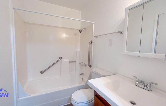 1 bed, 1 bath, 681 sqft, $1,699, Unit 1205-310A