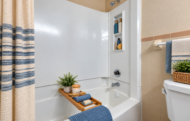 1 bed, 1 bath, 400 sqft, $1,295, Unit 119