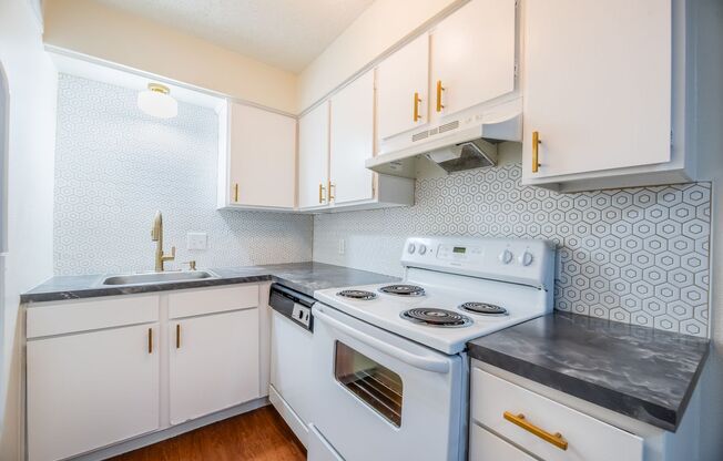 Studio, 1 bath, 410 sqft, $1,450, Unit 201