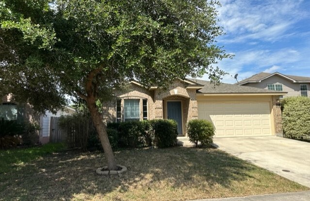 221 ROADRUNNER AVE