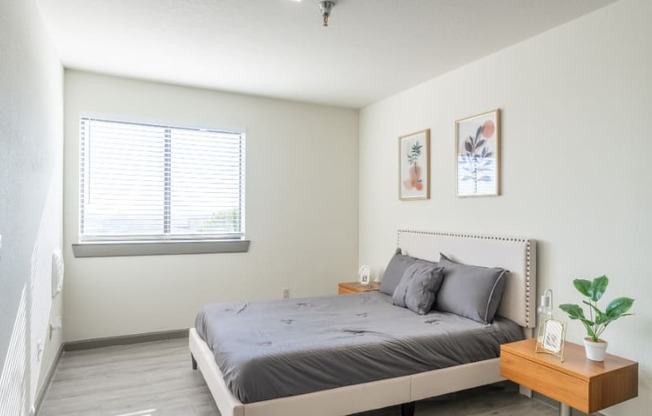 an empty bedroom with a bed and a window