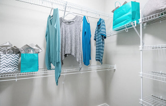 Walk-In Closets And Dressing Areas at Link Apartments® Glenwood South, Raleigh