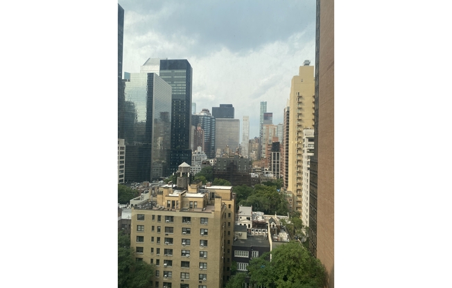 1 bed, 1 bath, 600 sqft, $4,350, Unit 15E