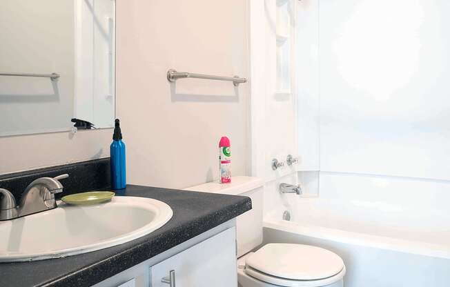 a bathroom with a sink and a toilet and a shower