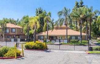 a building with a fence and palm trees in front of it