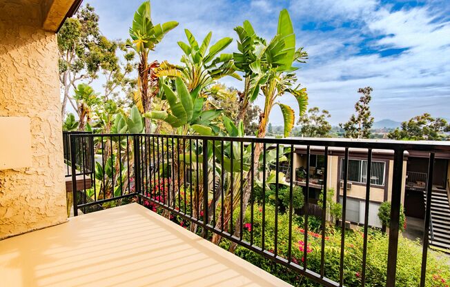 Studio, 1 bath, 472 sqft, $1,695, Unit D16