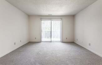 A sparsely furnished room with a carpeted floor and a sliding glass door.