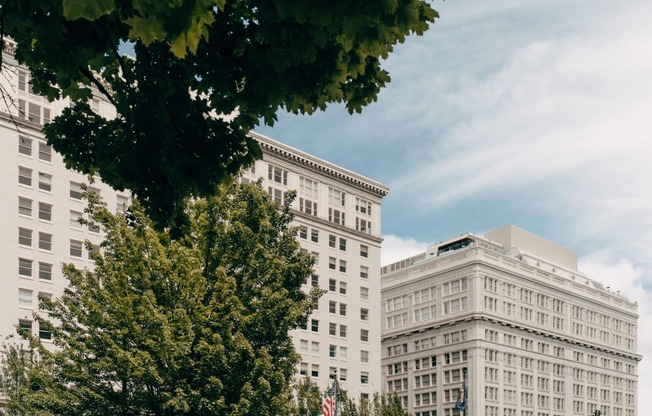 two buildings with trees in the foreground and a blue sky