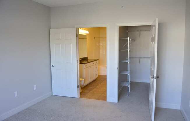 Large closet, bedroom with carpet, and bathroom