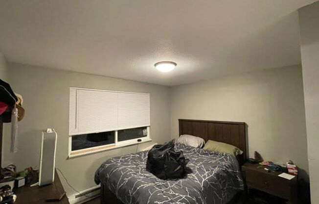 1 bed, 1 bath, $1,200