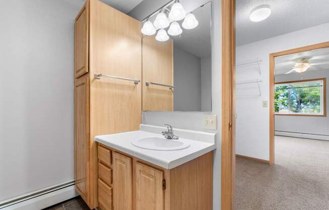 Bathroom and walk-through closet at The Preserve at Commerce, Rogers, MN, 55374