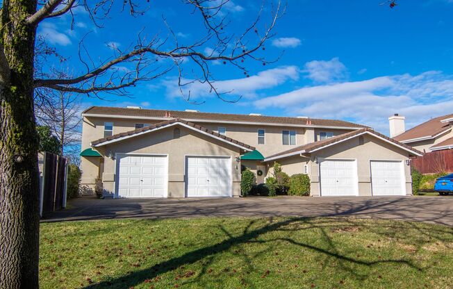 BurtonDrive1148