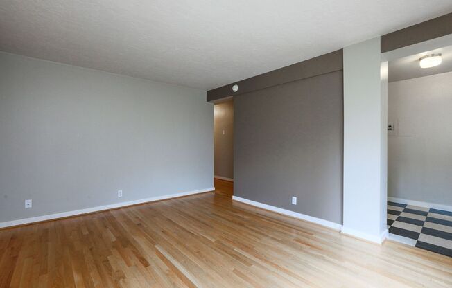 1 bed, 1 bath, 550 sqft, $1,350, Unit 206