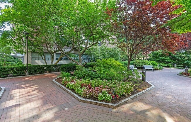 1 bed, 1 bath, 545 sqft, $2,950, Unit 9K