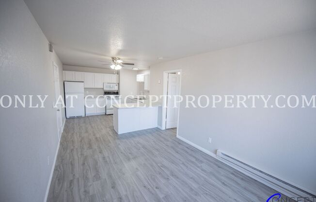 1 bed, 1 bath, 650 sqft, $999, Unit 1B