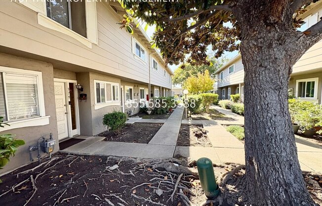 381 N TEMPLE DR