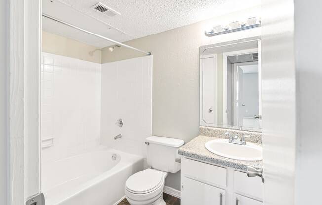 Terrace Unit Bathroom at Bookstone and Terrace Apartments in Irving, Texas