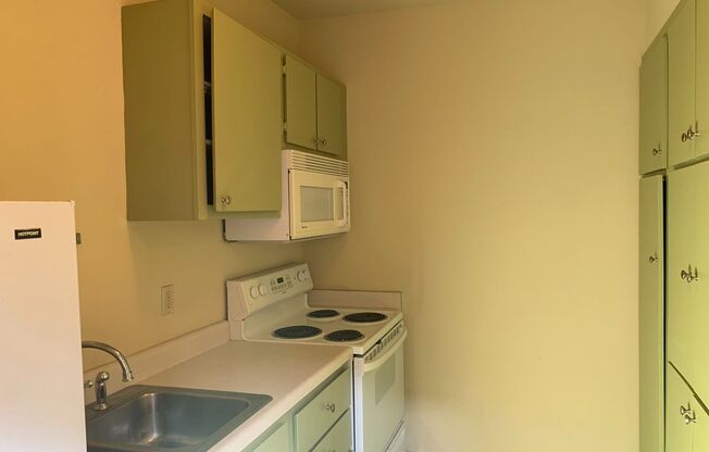 1 bed, 1 bath, 500 sqft, $1,000