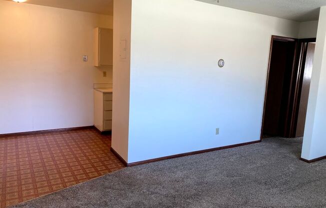 1 bed, 1 bath, 465 sqft, $595, Unit 1116-205