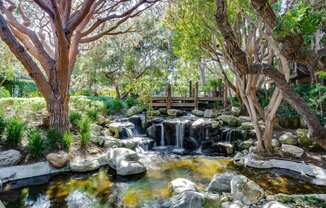 the backyard has a waterfall and a pond at Mariners Village, Marina del Rey, California