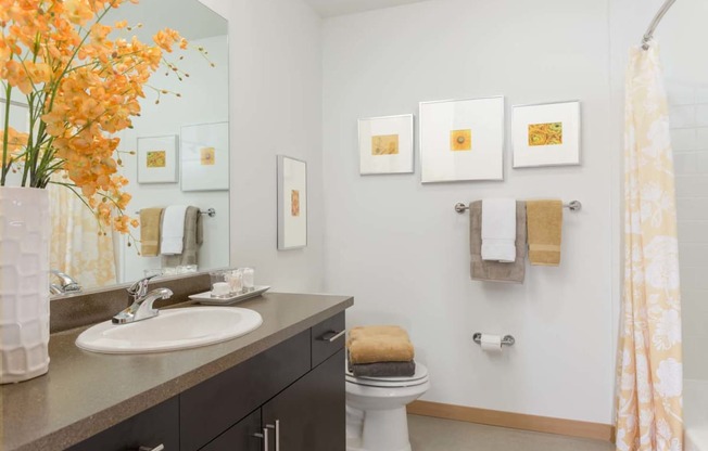 Modern Bathroom Fittings at Tivalli Apartments, Washington, 98087